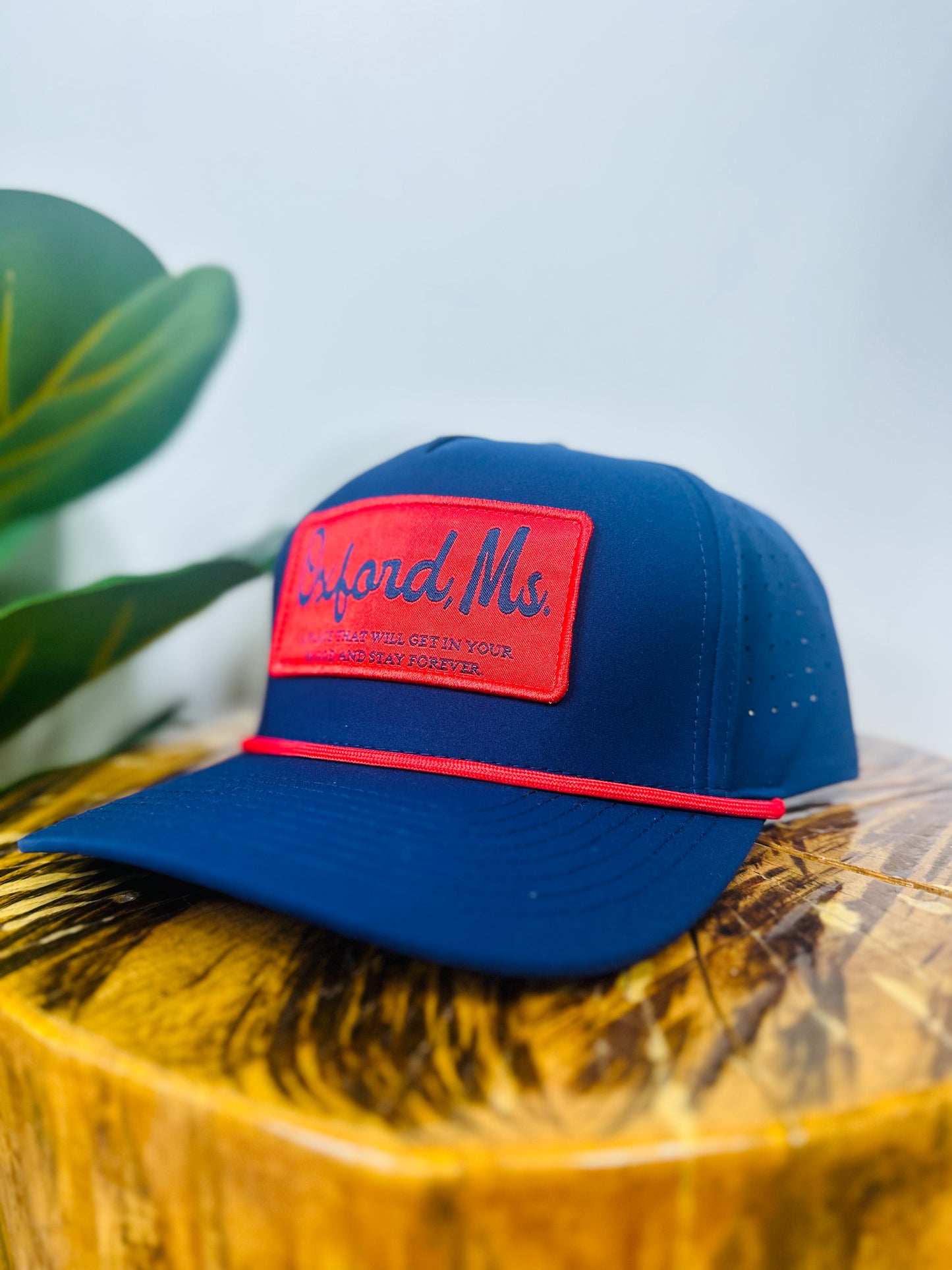 Collegiate Hat
