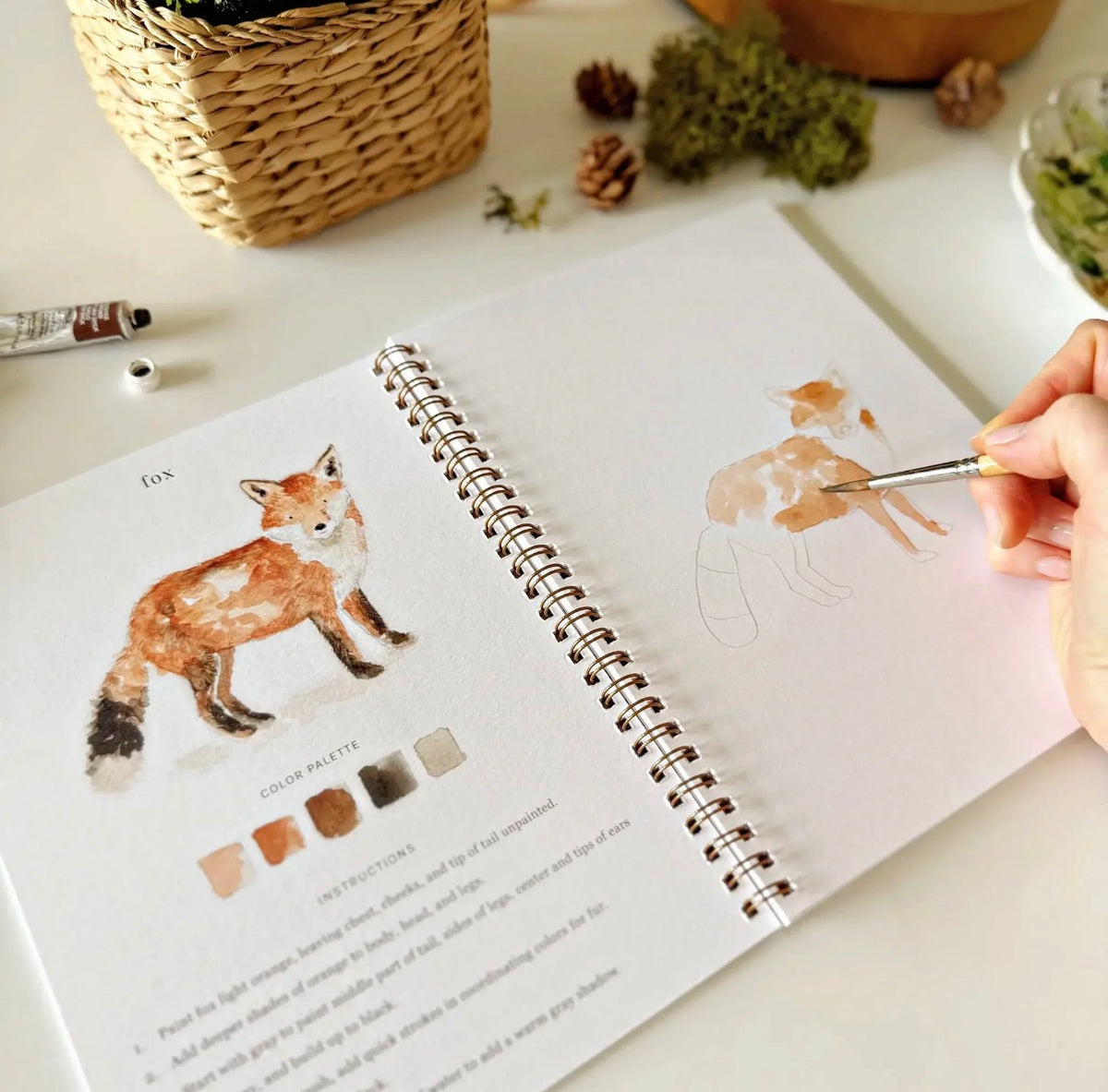Woodland Watercolor Workbook