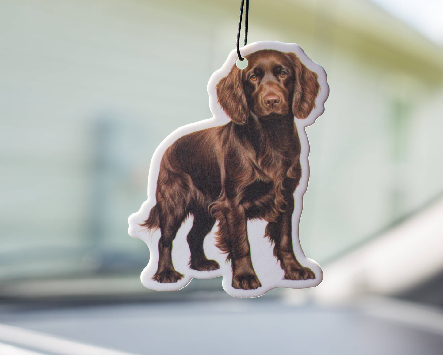 Air freshener - Boykin