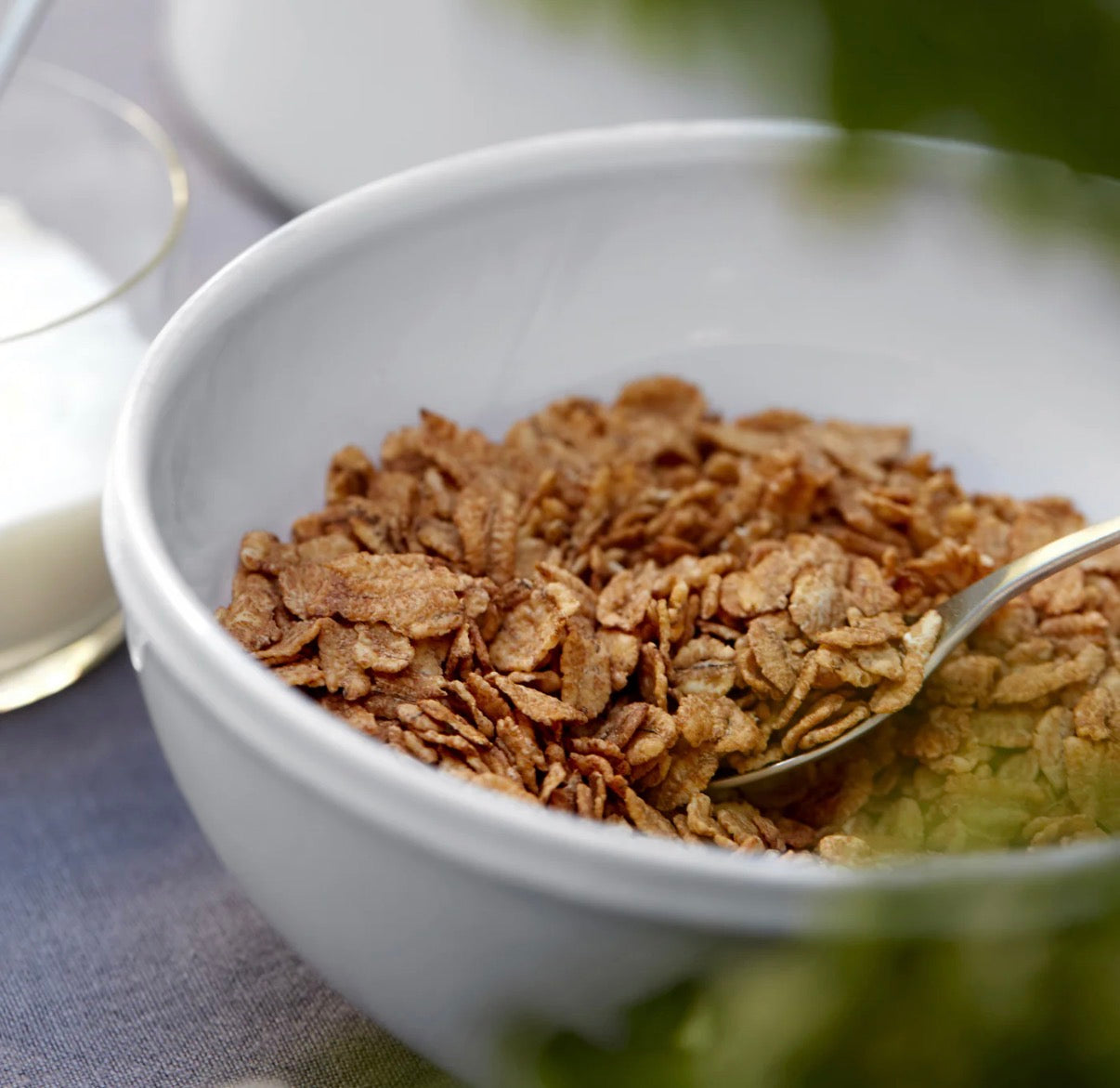 Soup/Cereal Bowl Friso
