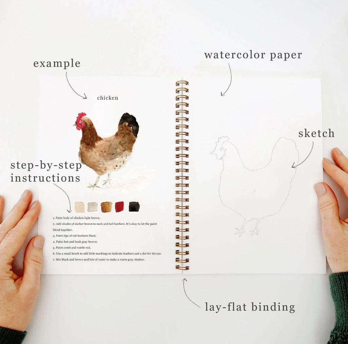 Animals Watercolor Workbook