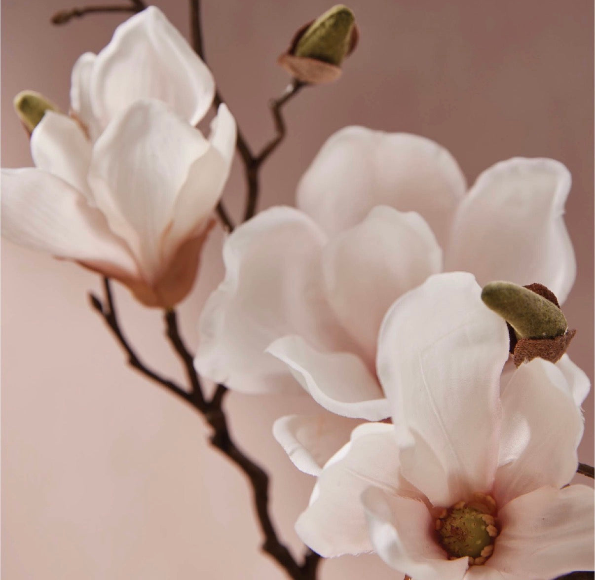 Thymes Counter Top Spray - Magnolia Willow