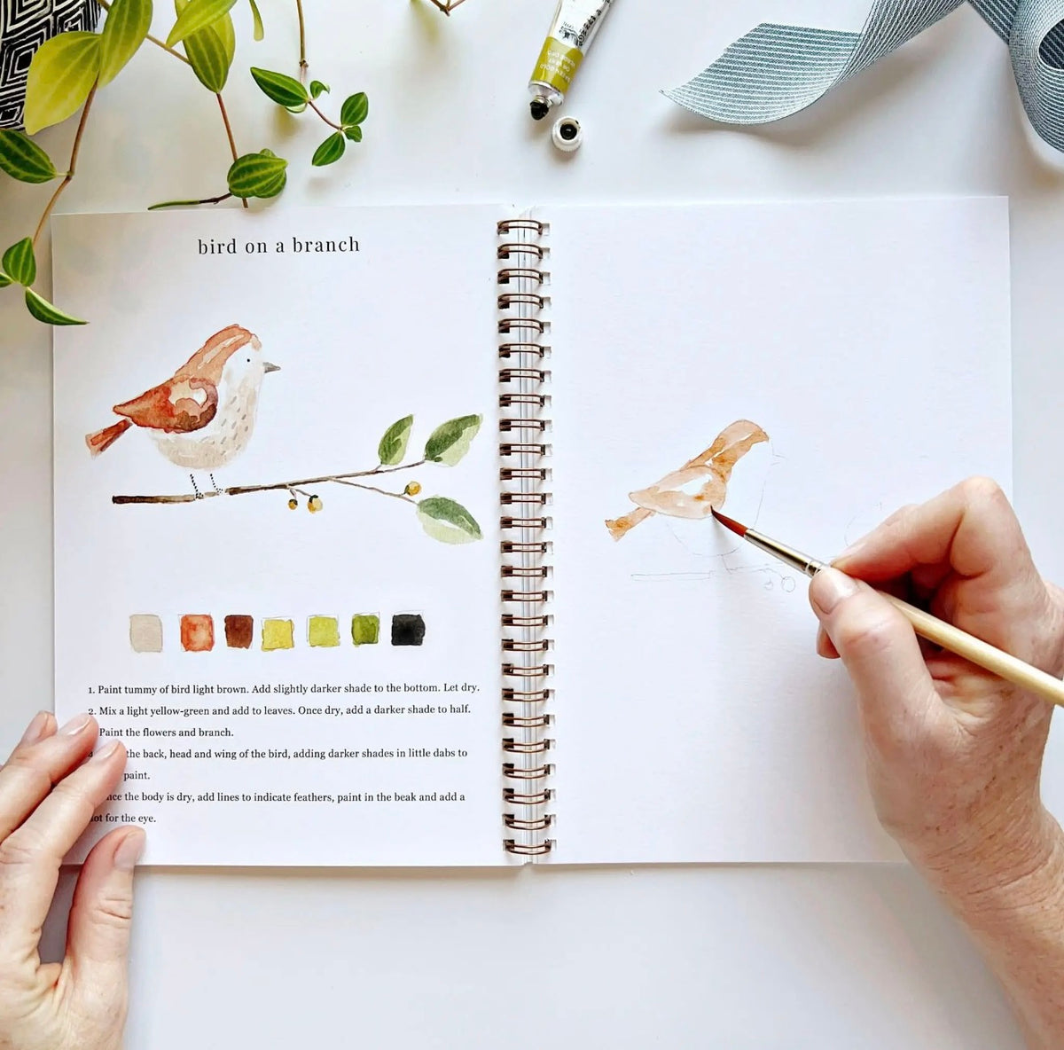 Animals Watercolor Workbook
