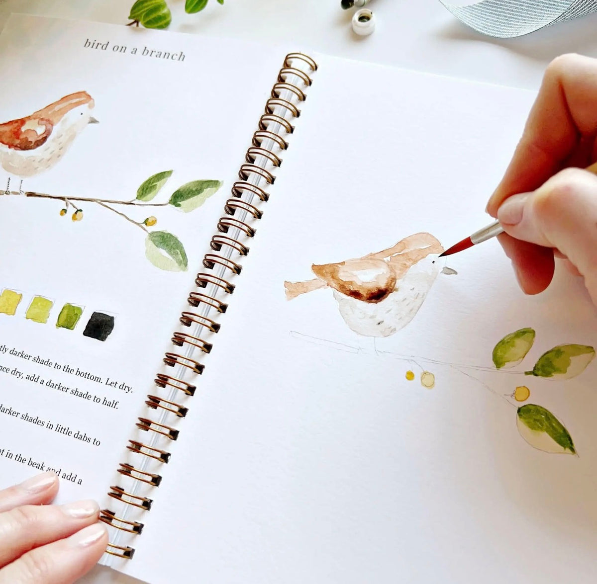 Animals Watercolor Workbook