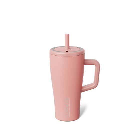 BruMate Era 20oz - Guava