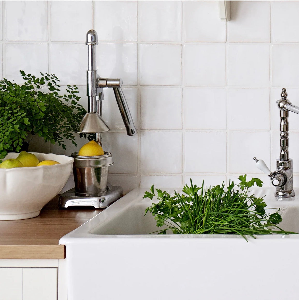 Serving Bowl Impressions, Casafina by COSTA NOVA