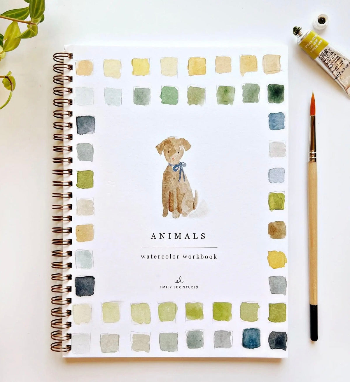 Animals Watercolor Workbook