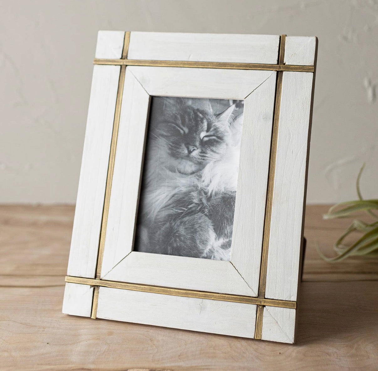 Henrie 4x6 Photo Brass Bordered Picture Frame White Wood
