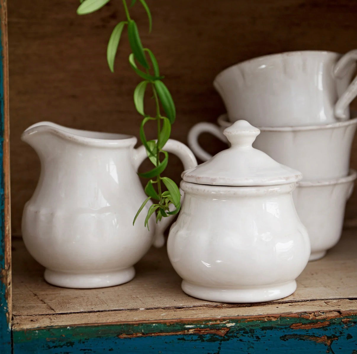 Creamer Impressions, Casafina by COSTA NOVA